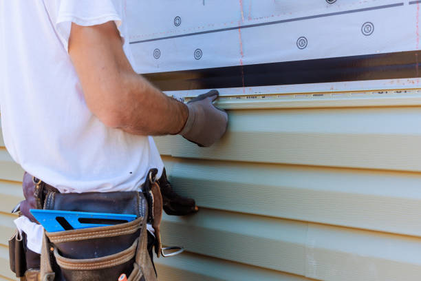 Best Custom Trim and Detailing for Siding  in St Georges, DE